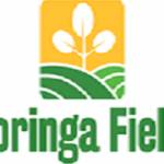 Moringa Fields Profile Picture