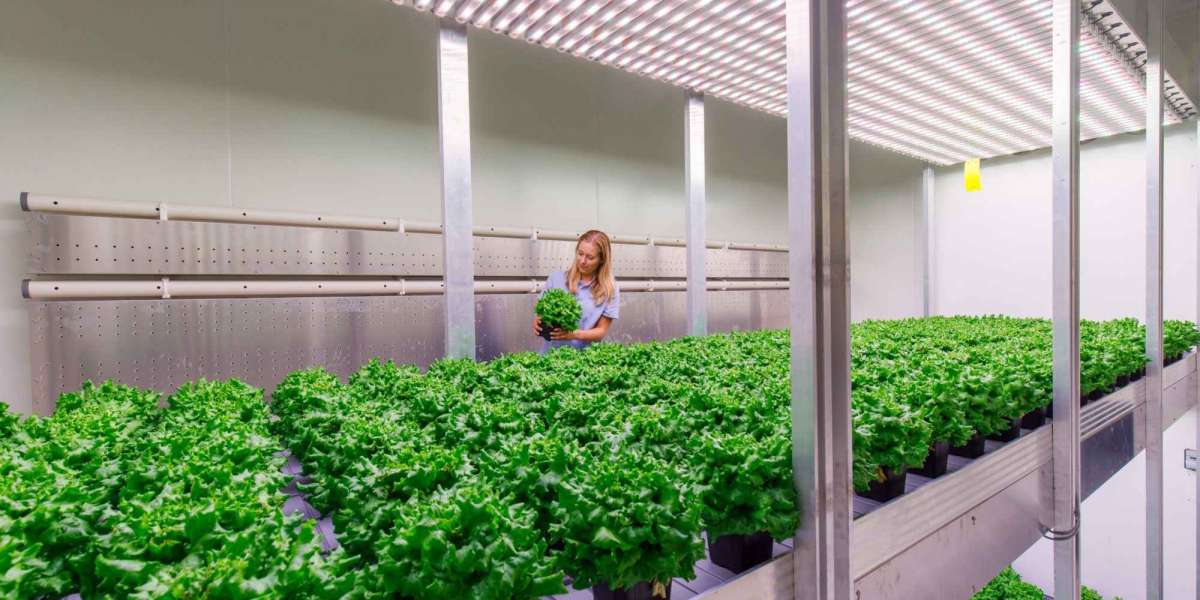 Global Indoor Farming Market 2028 Upcoming growth and trend in Agriculture industry 2028