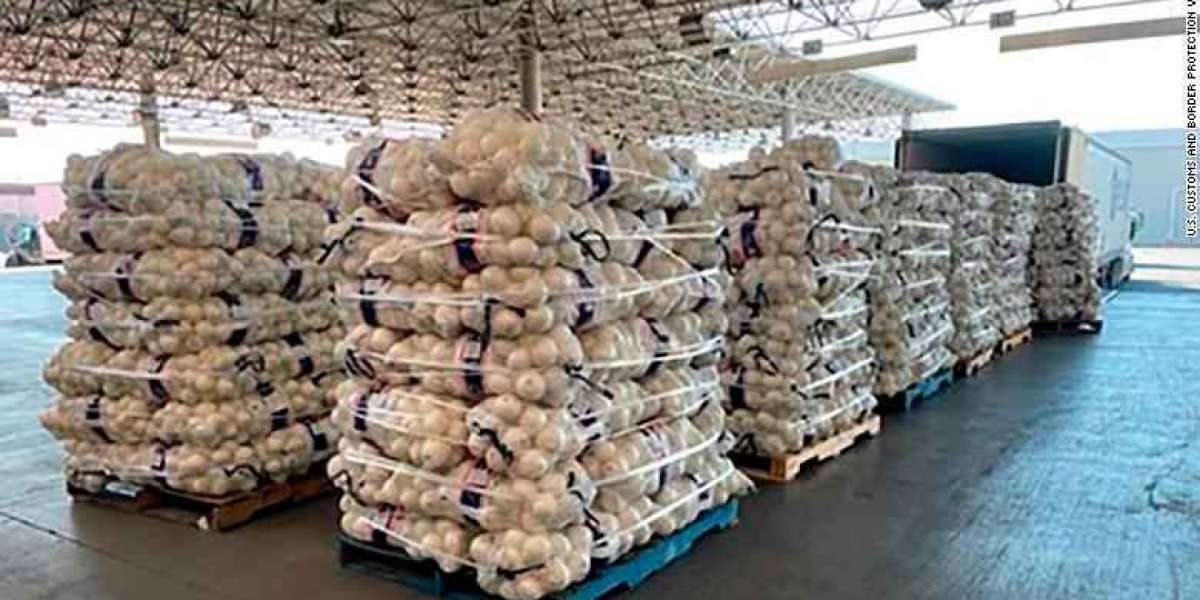 Authorities seize almost $3 million worth of meth disguised as onions in California