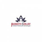 Astrologer Sanjay Ji Profile Picture