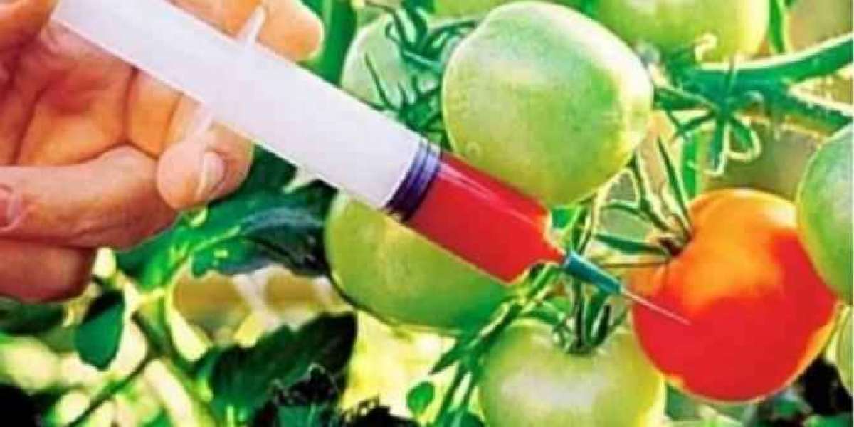 Innovative Report on Food Biotechnology Market 2022