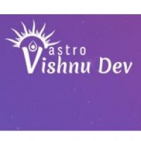 Save Your Business With Assistance From An Astrologer In Edmonton by Astrologer Vishnudev