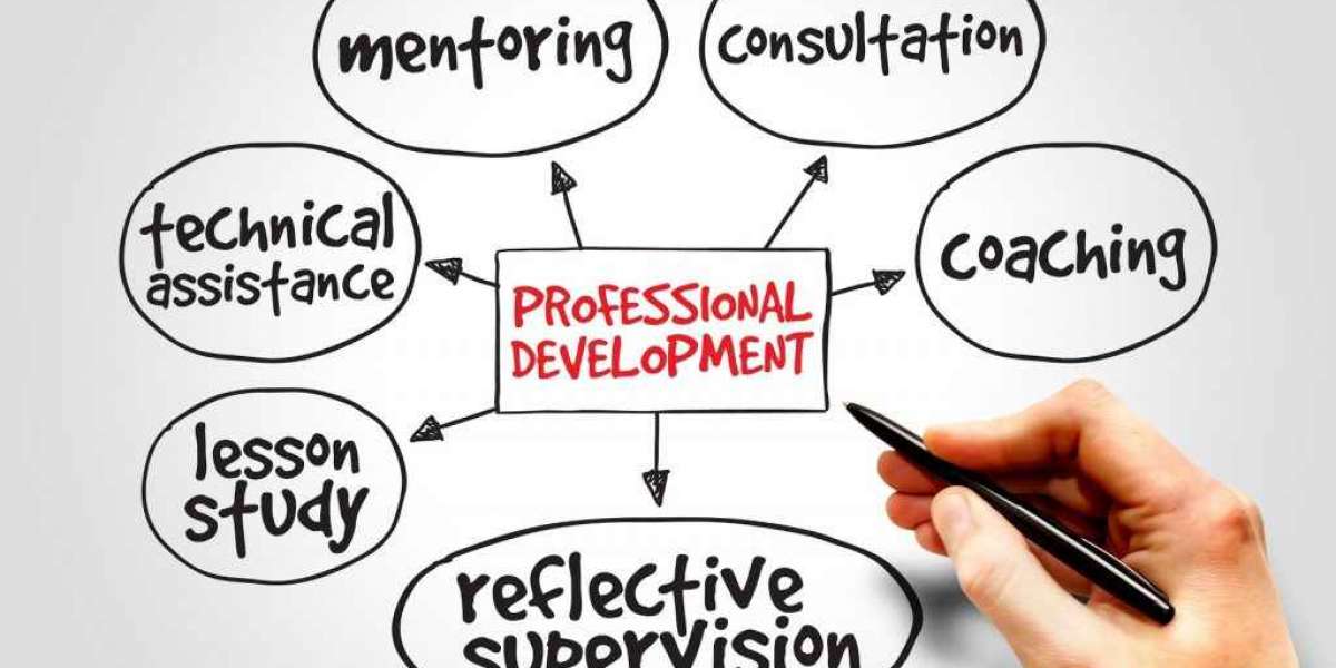 THE IMPORTANCE OF PROFESSIONAL DEVELOPMENT FOR EDUCATORS