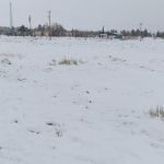 khalid hassan Profile Picture