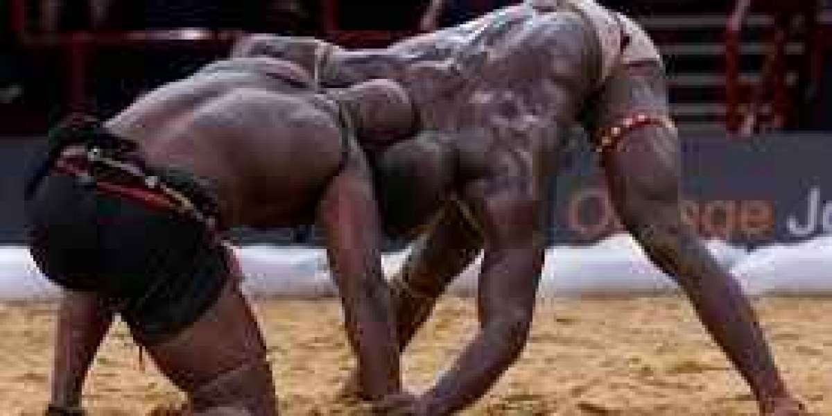 West African Traditional Wrestlers Change With Times but Still Fancy a Fight