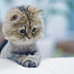 pik24 Profile Picture