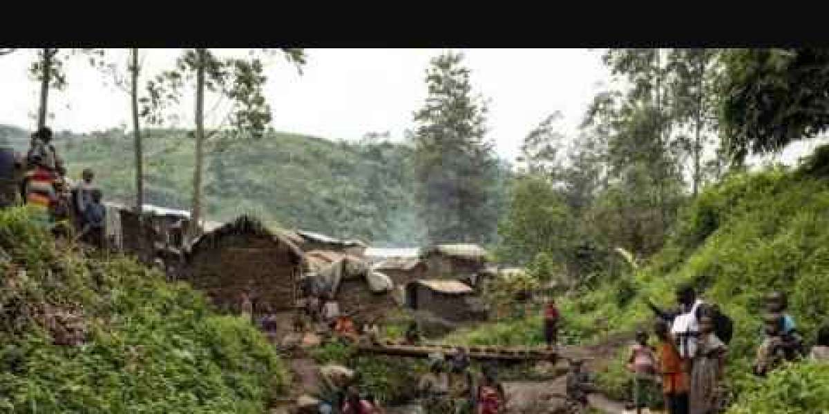 RDC : Aggravation de la situation au Nord-Kivu (Tribune de Grégoire Cyrille Dongobada)