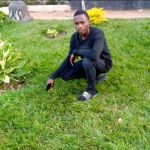 Denice Method Profile Picture