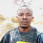 Petrol Profile Picture