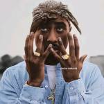 Dongaza Profile Picture