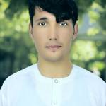 namety Profile Picture