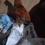 Mathew Kimutai Profile Picture