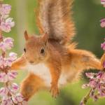 Joseph Wangari Profile Picture