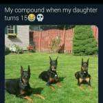 Brian Brian Profile Picture