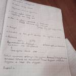 kamankei Profile Picture