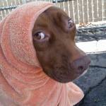 wokotoki Profile Picture