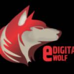 edigital wolf Profile Picture