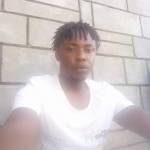 Voklo Profile Picture