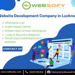 Best Website designing in Lucknow - Websofy Profile Picture