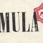 Alex Mula Profile Picture