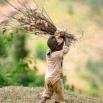 Cecilia Ndege Profile Picture