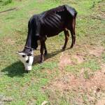 Kwart Profile Picture