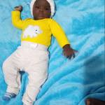 Boboken25 Profile Picture