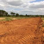 Sarahtravis Profile Picture