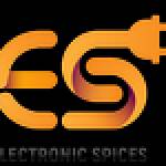 Electronic Spices Profile Picture