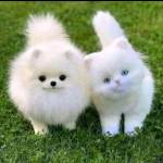 Emily Kirimi Profile Picture