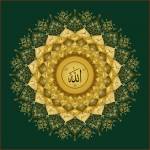 Hesham Profile Picture