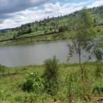 Quick Arex Profile Picture