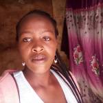 Tabbyelvis Profile Picture