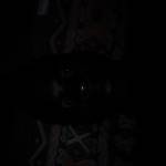 Kafamaica Profile Picture