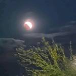 Daniel SIMIYU Profile Picture