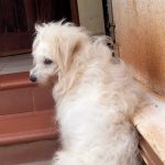 Namubiru Shadiah nava Profile Picture