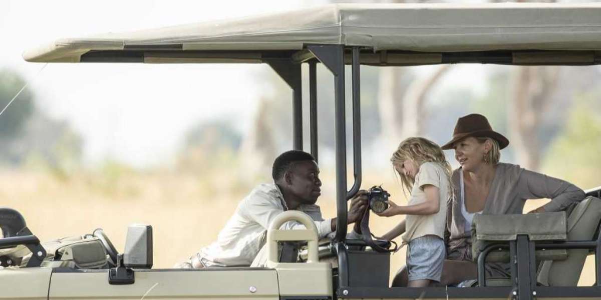 Best African Luxury Safari Tours Companies