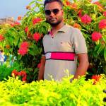 Mohammad Sohel Profile Picture