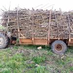 Jay Ron Profile Picture