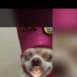 Goodness Alasan Profile Picture