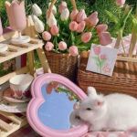 Sangania Salome profile picture