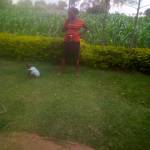 SHYRON DISHON Profile Picture