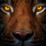 Mark Lemon Profile Picture