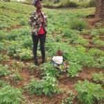 Mama Paul ? Muthoni Profile Picture