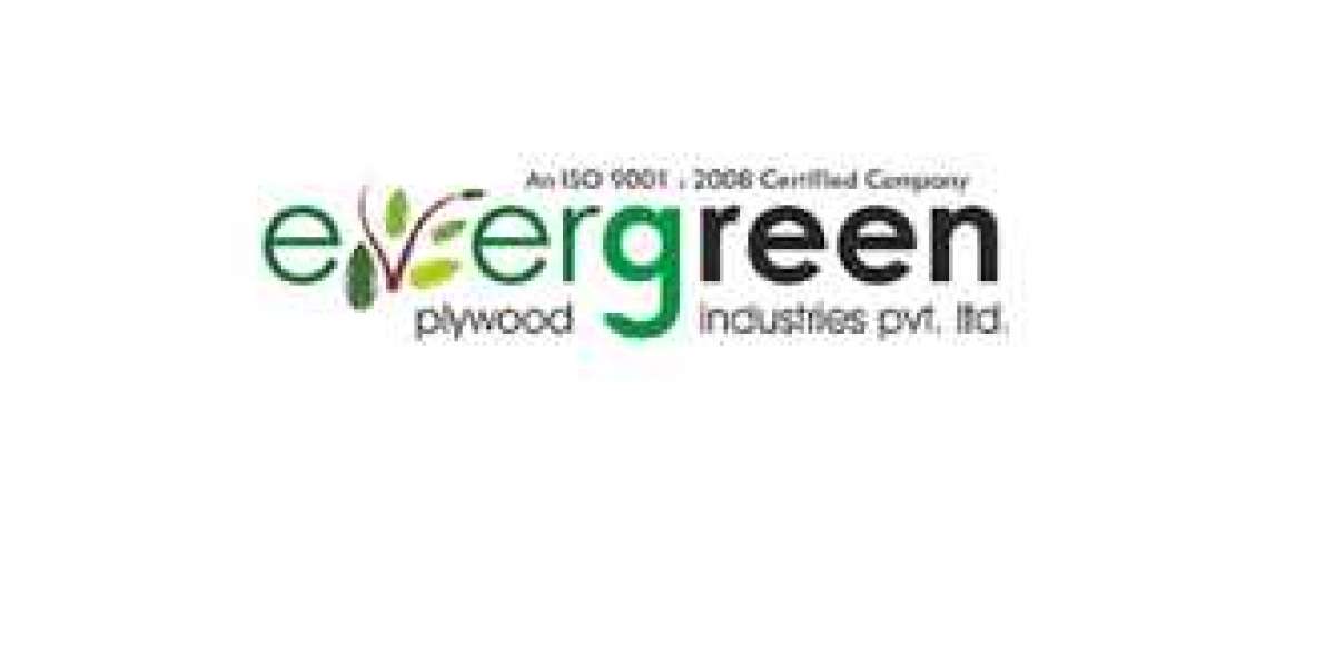 Evergreen Plywood