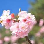 tfhjj713 Profile Picture