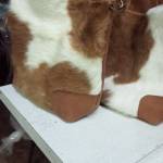 Anthony Karugu Profile Picture