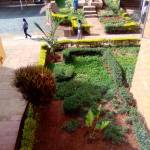 SAMMY KOSGEI Profile Picture