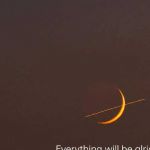 Jo_ji Profile Picture