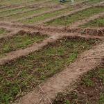 Casmil Castory Profile Picture